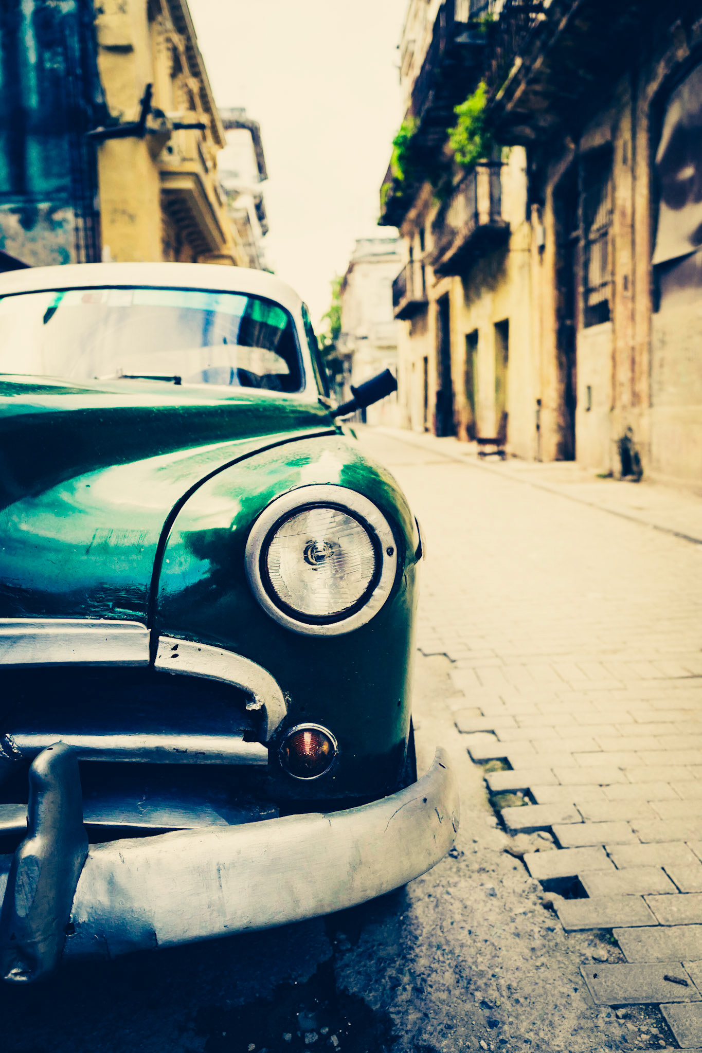 Green Automobile Detail Havana