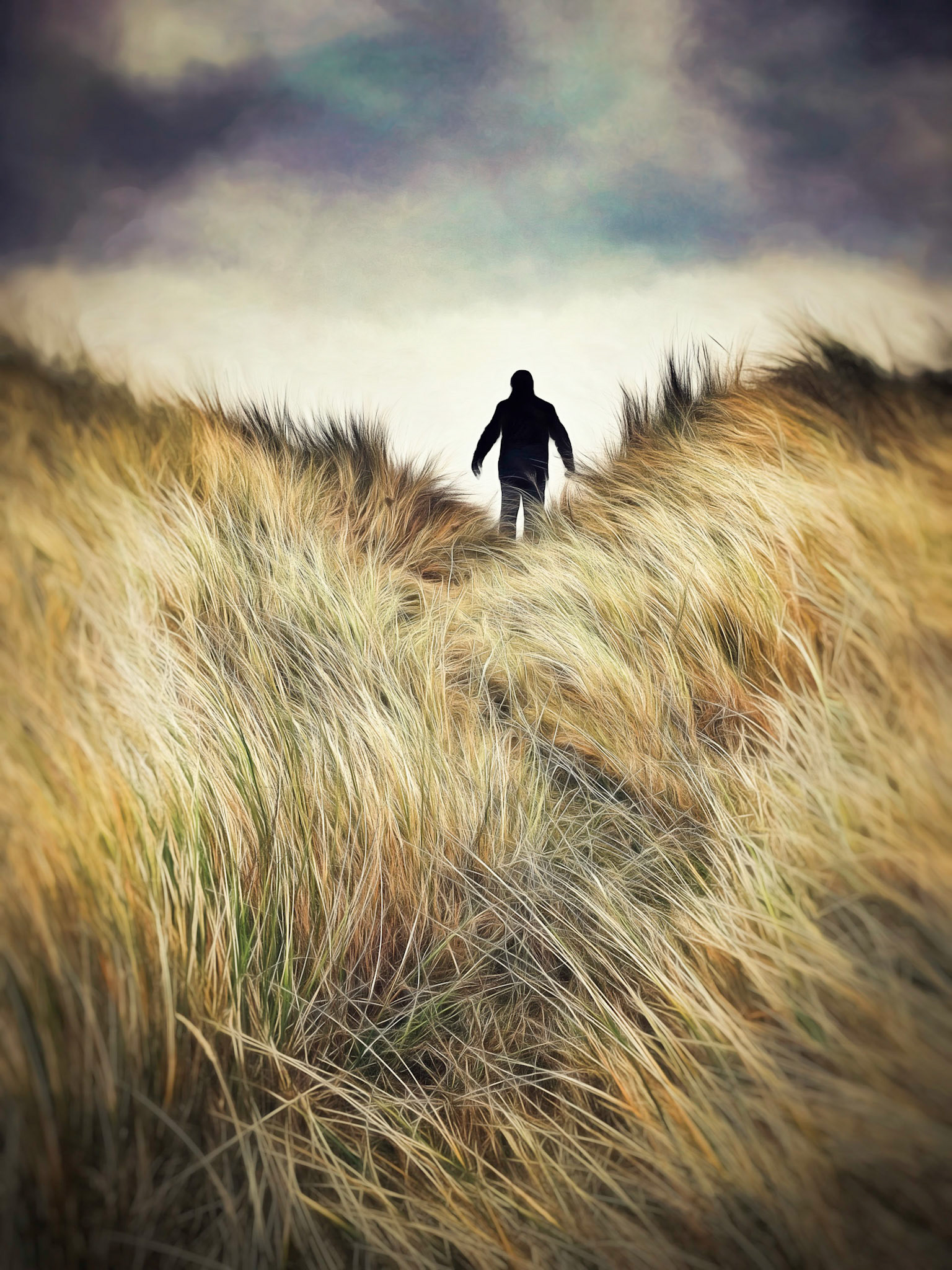 Figure Amongst Sand Dunes