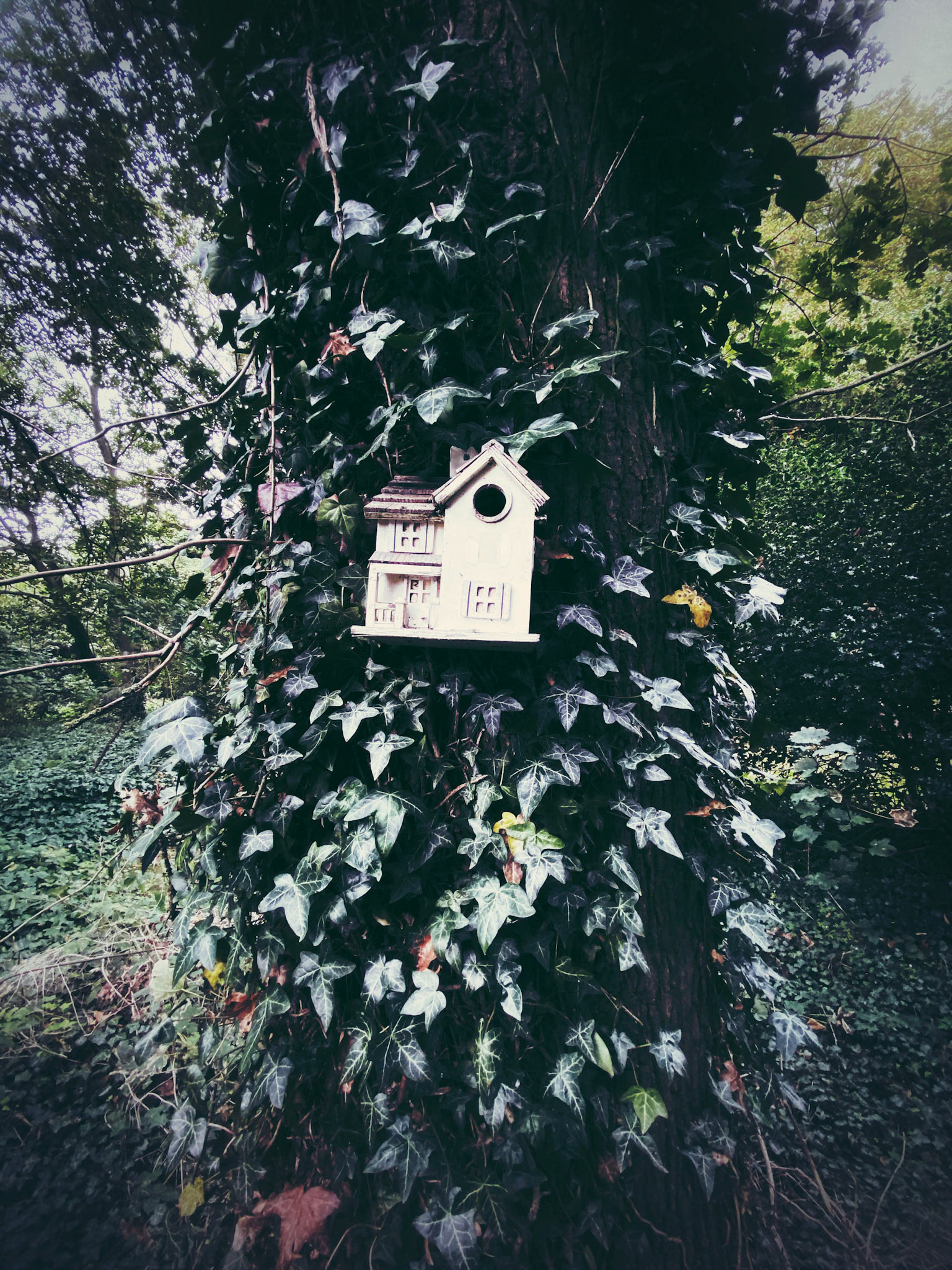 Birdhouse