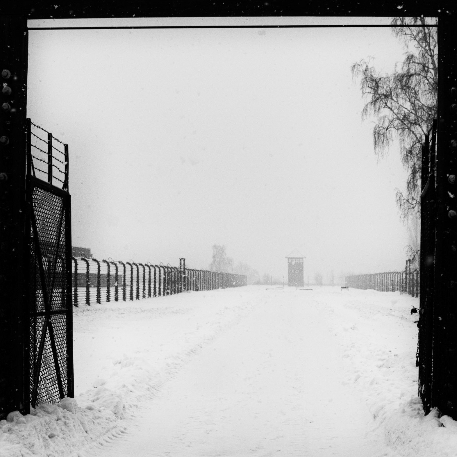 Auschwitz Birkenau in snow