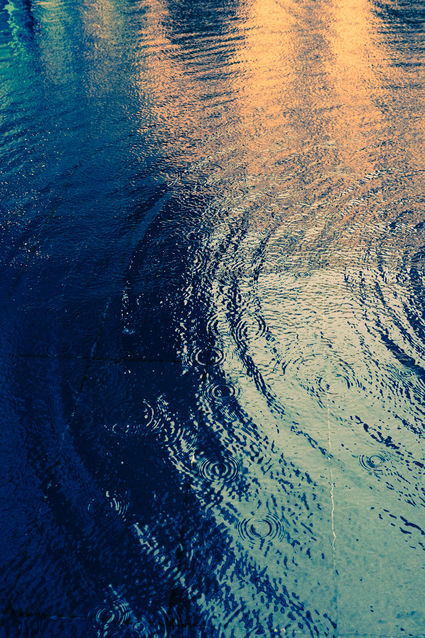 Beauty Of The Downpour