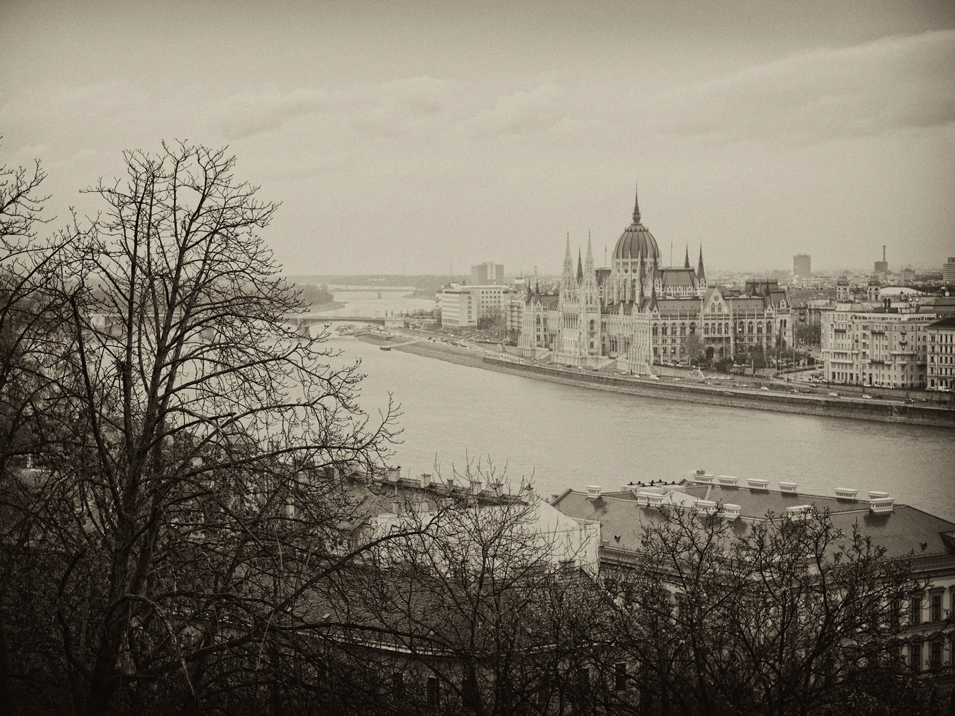 The Parliament of Hungary Across The Danube