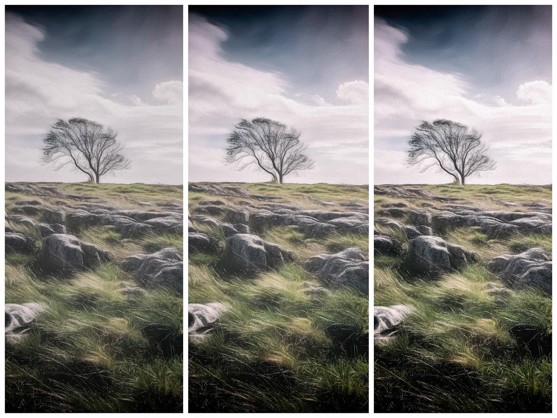 Lone Tree In Rocky Landscape Triptych