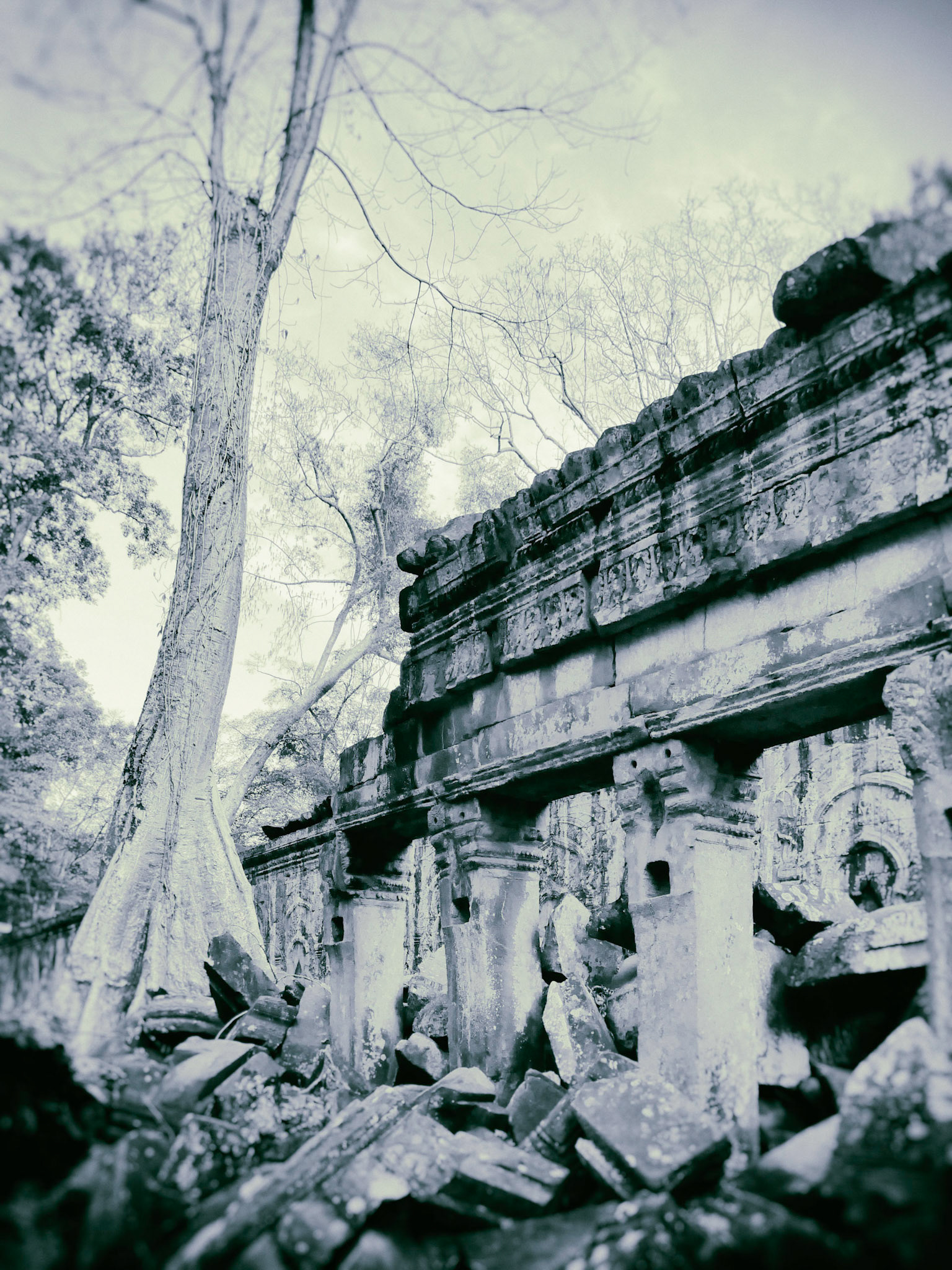 Ruins of Ta Prohm