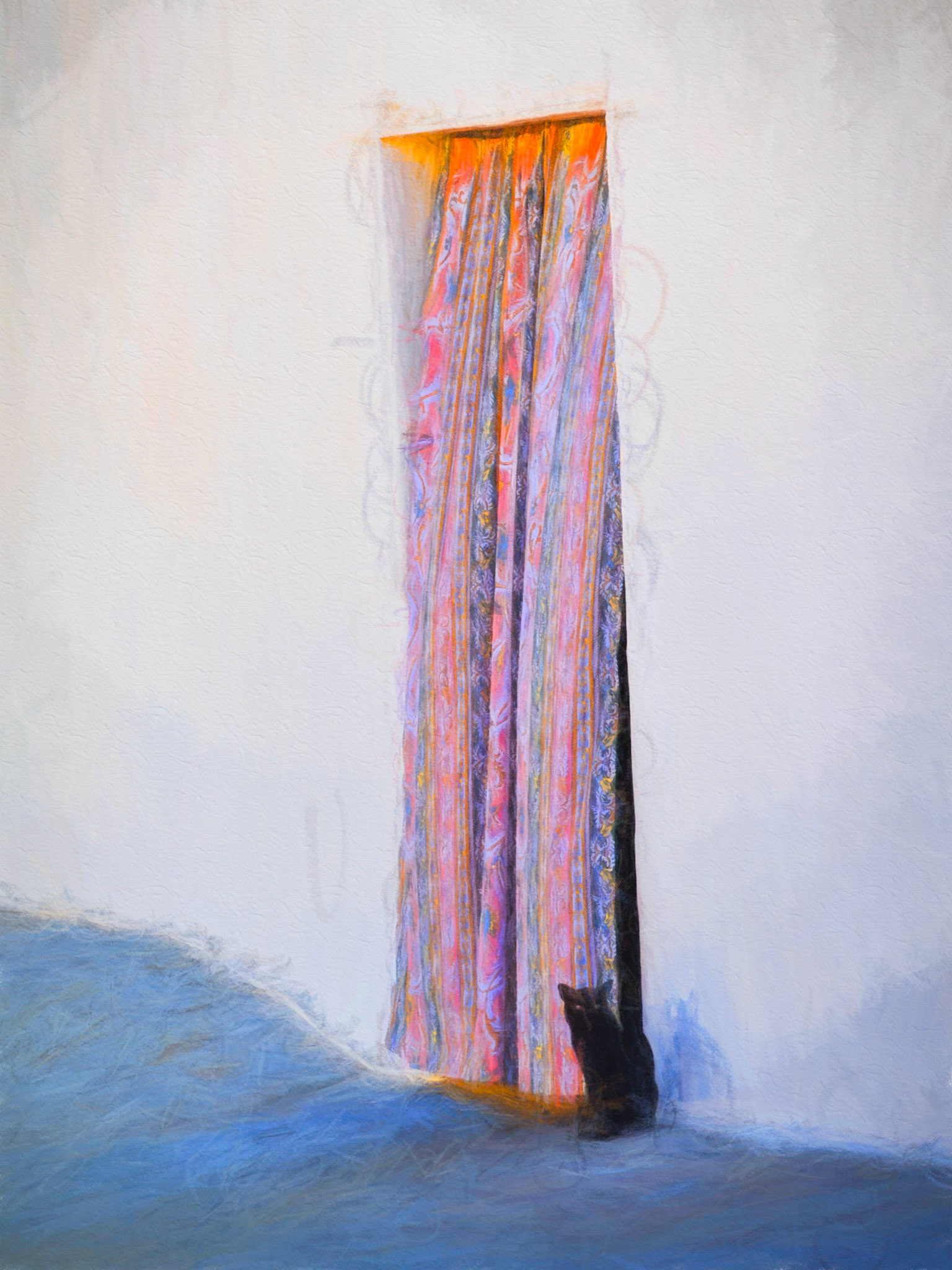 The Cat And The Curtain