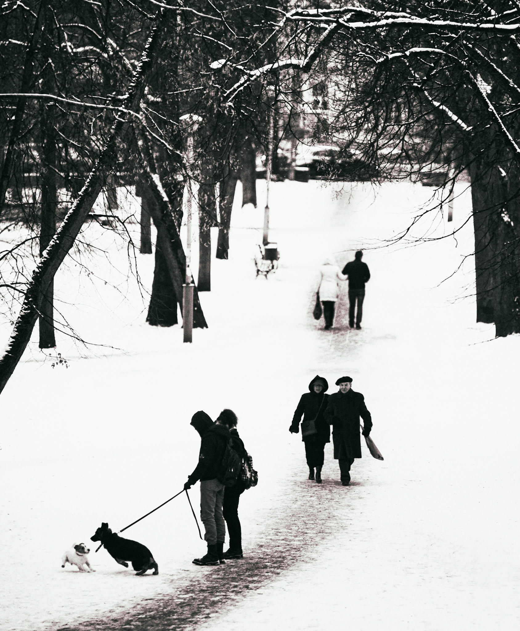 Vilnius in snow