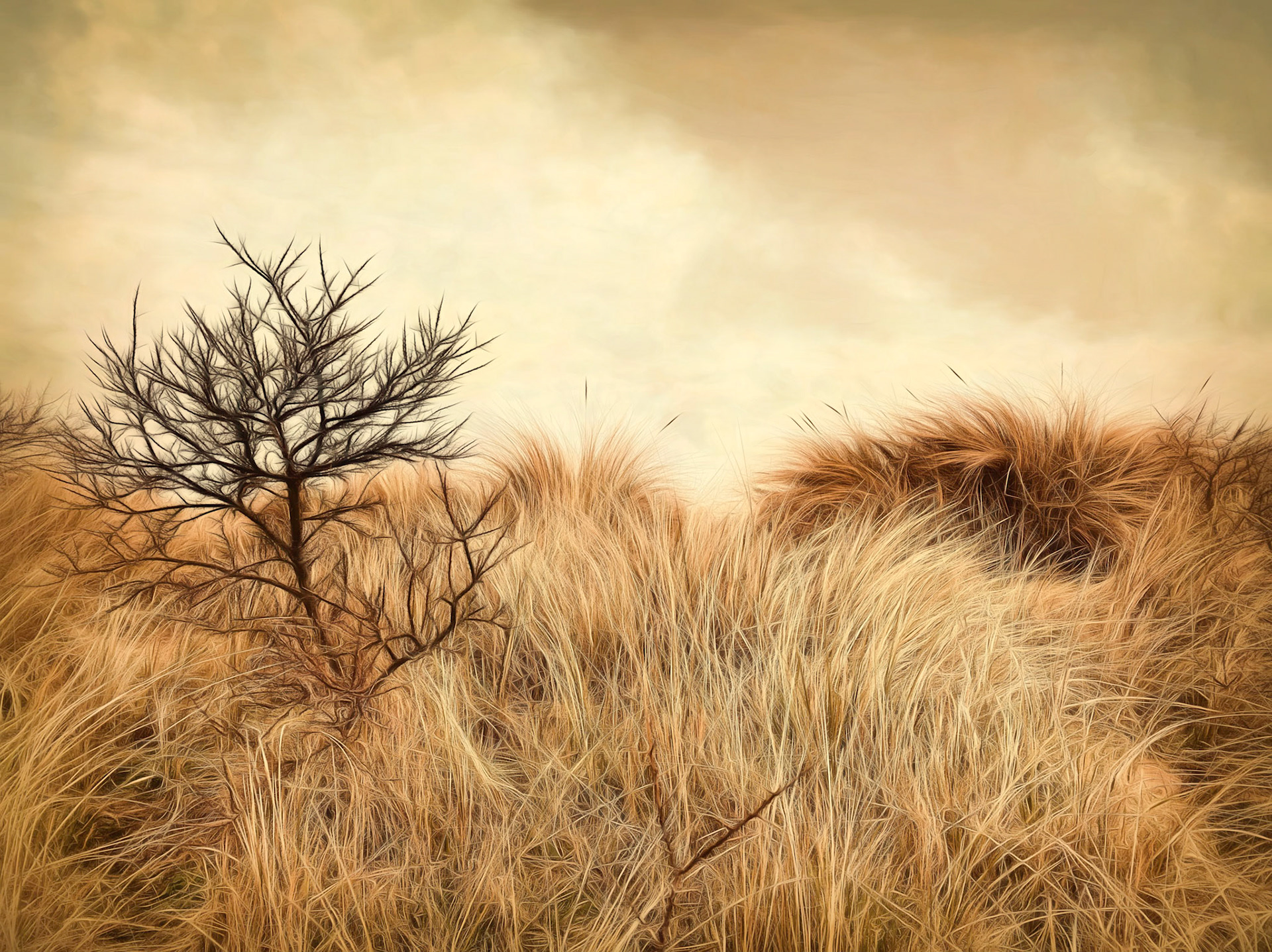 Sand Dunes Observations