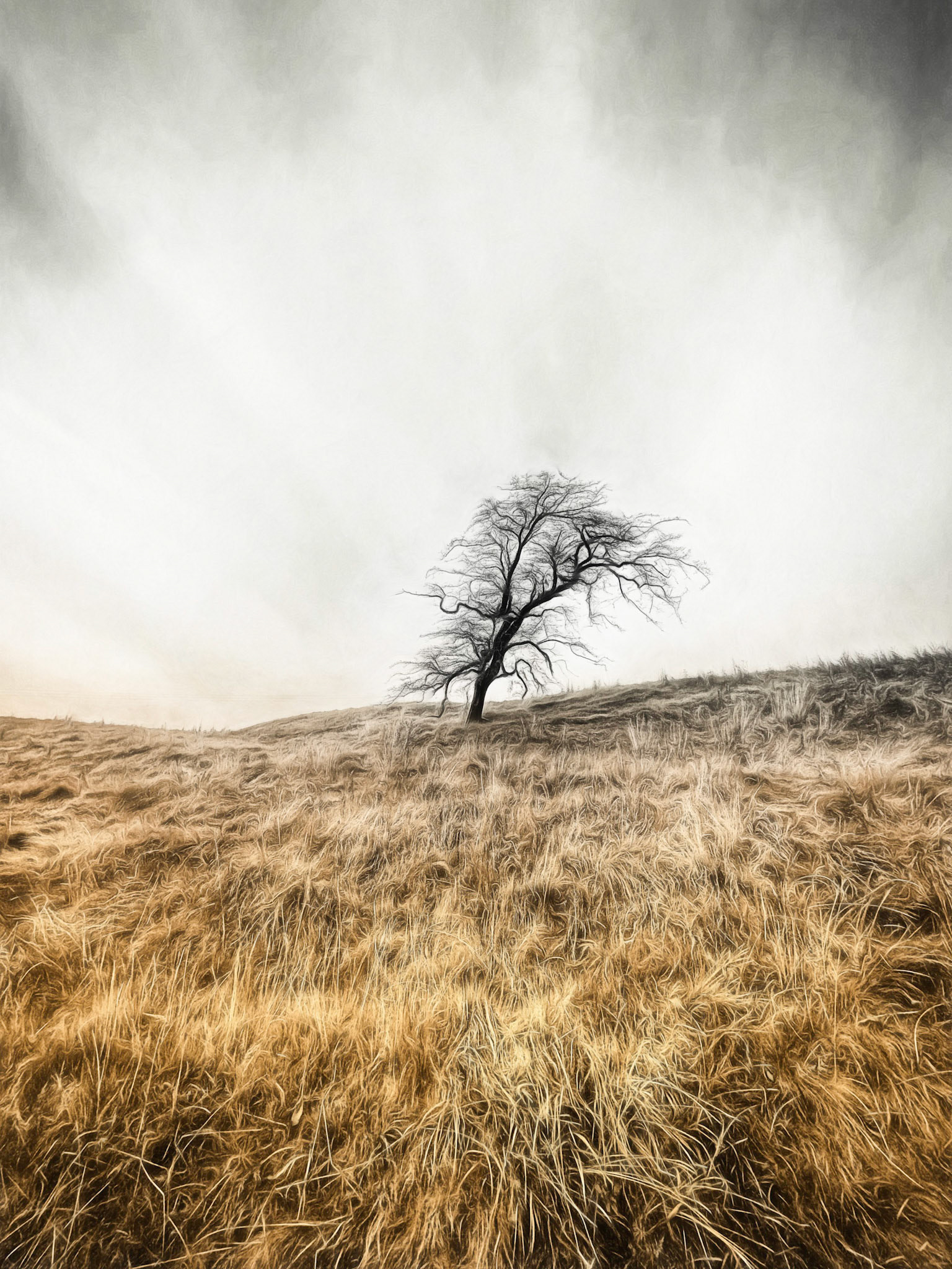 Smart Collection Arcangel