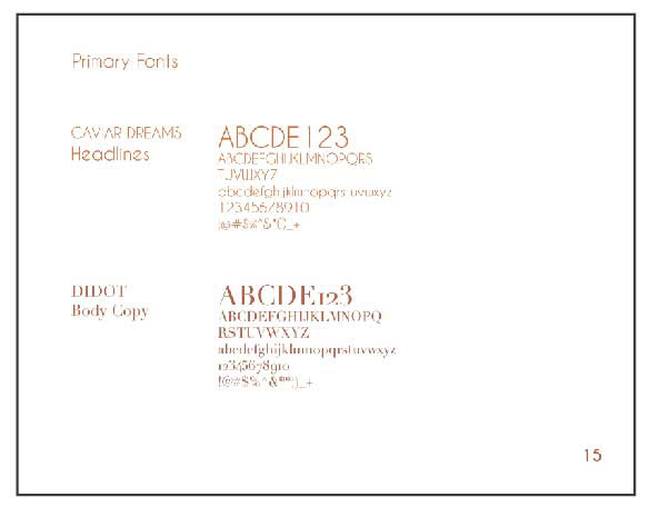 typography page from branding manual
