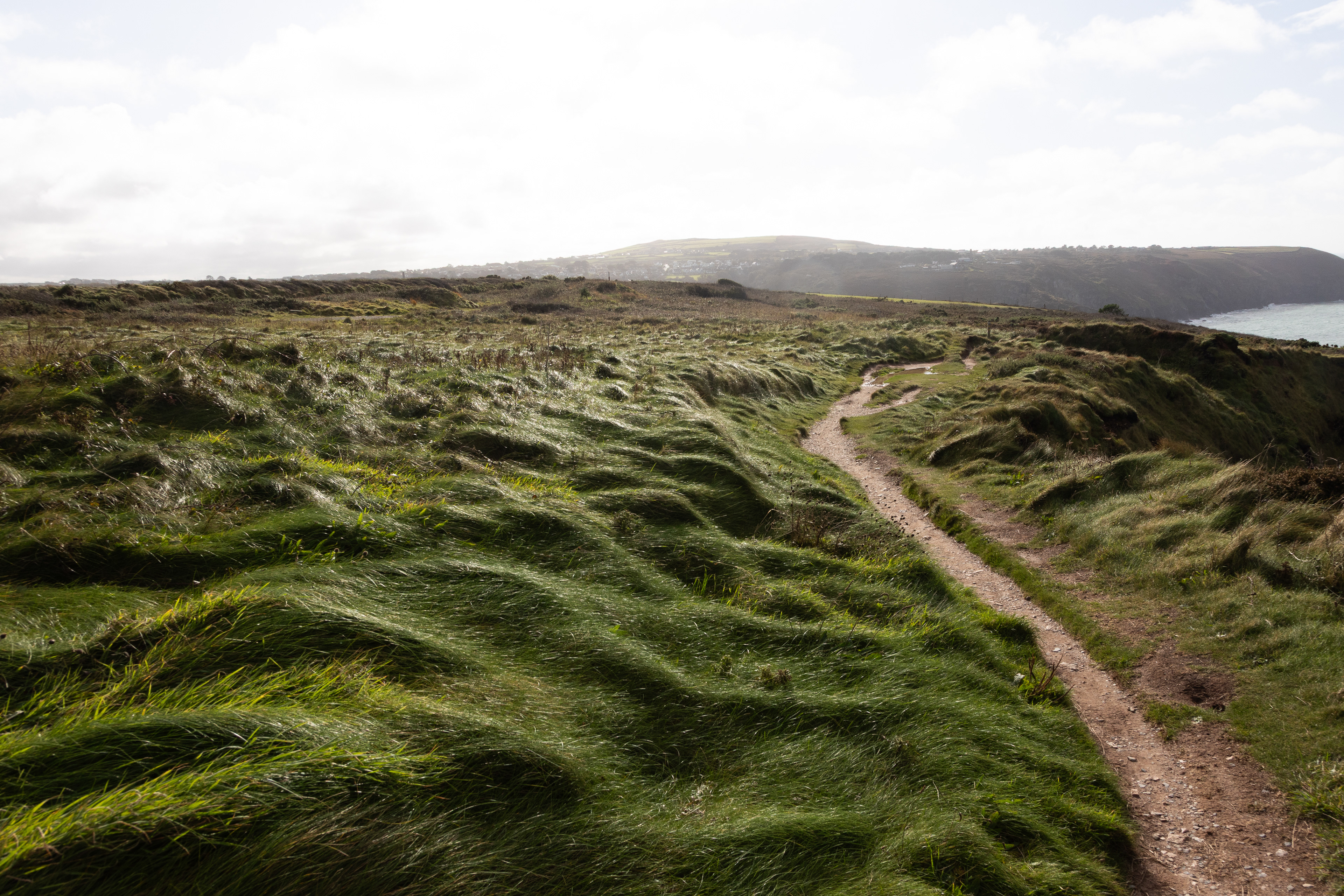 SW coastal path between ST Agnes and Perranporth, Cornwall.