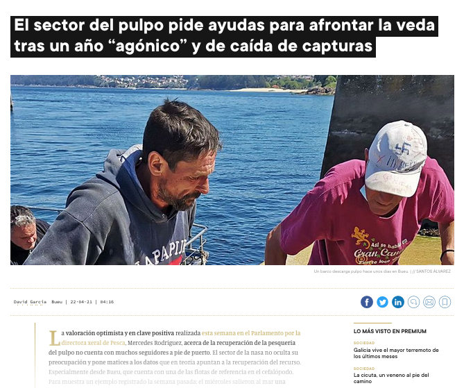 "Fishing sector asks for subsidies to help with the agonic decline in captures".