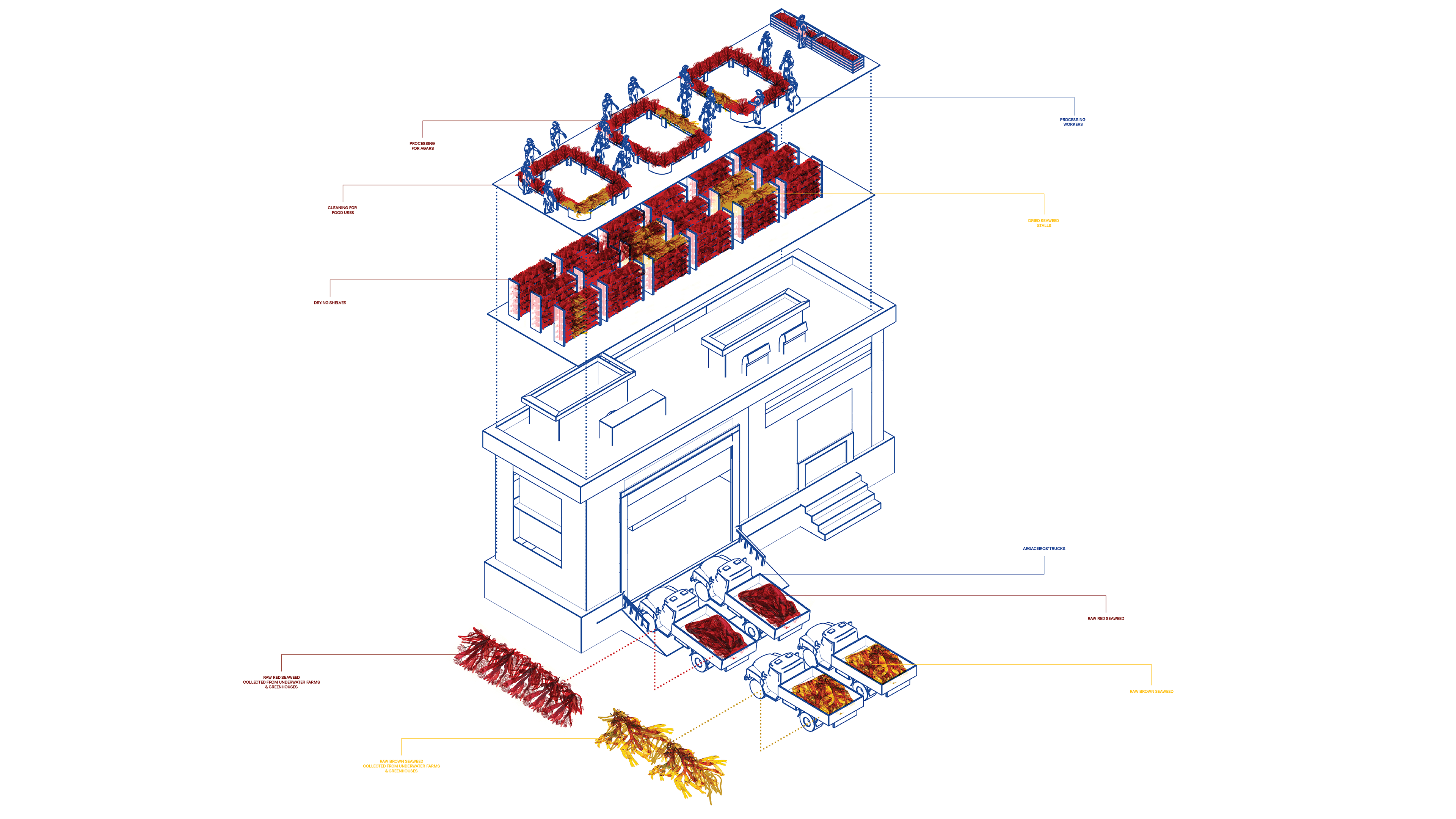 Seaweed Processing Plant