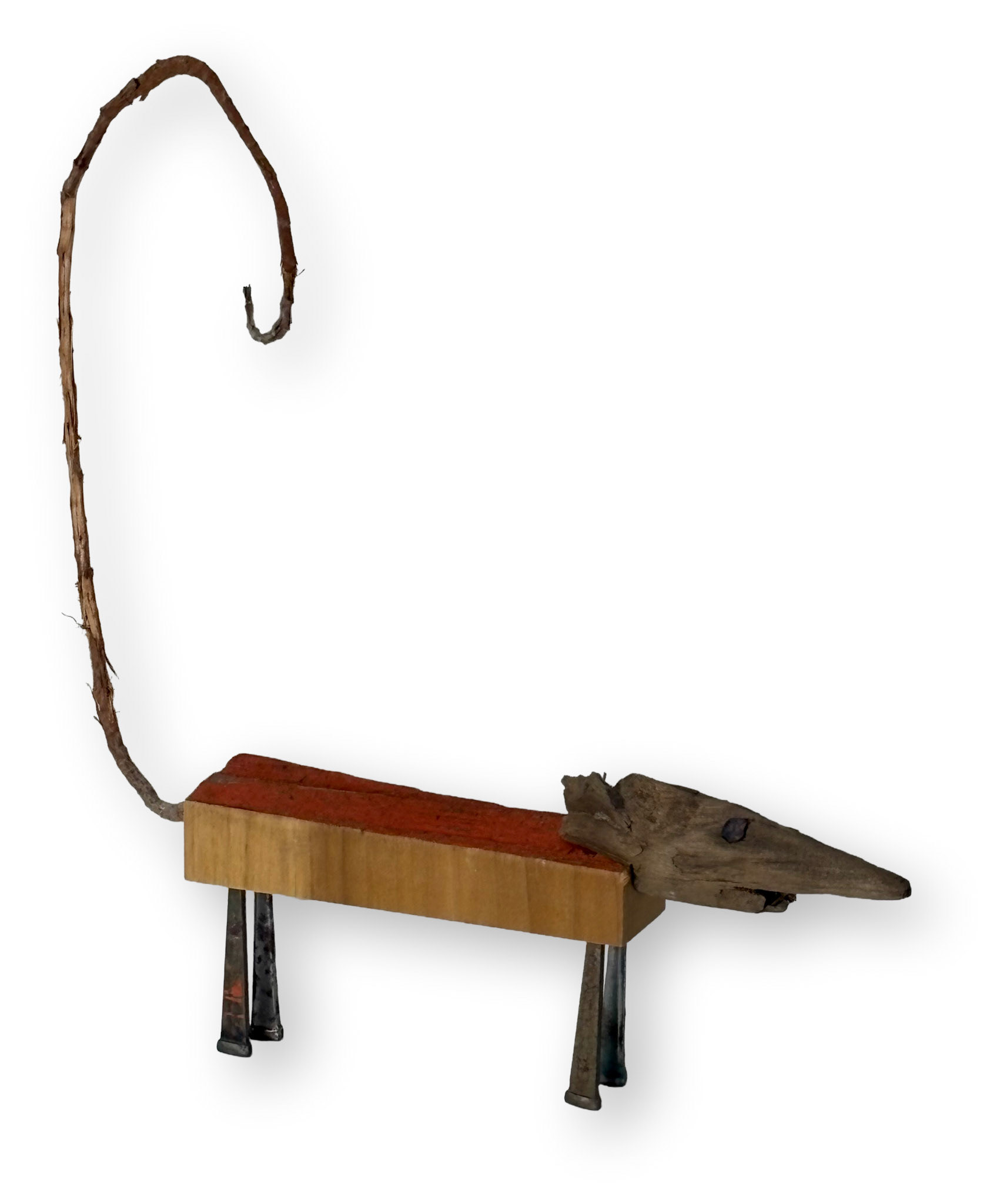 DOG WITH "C" TAIL