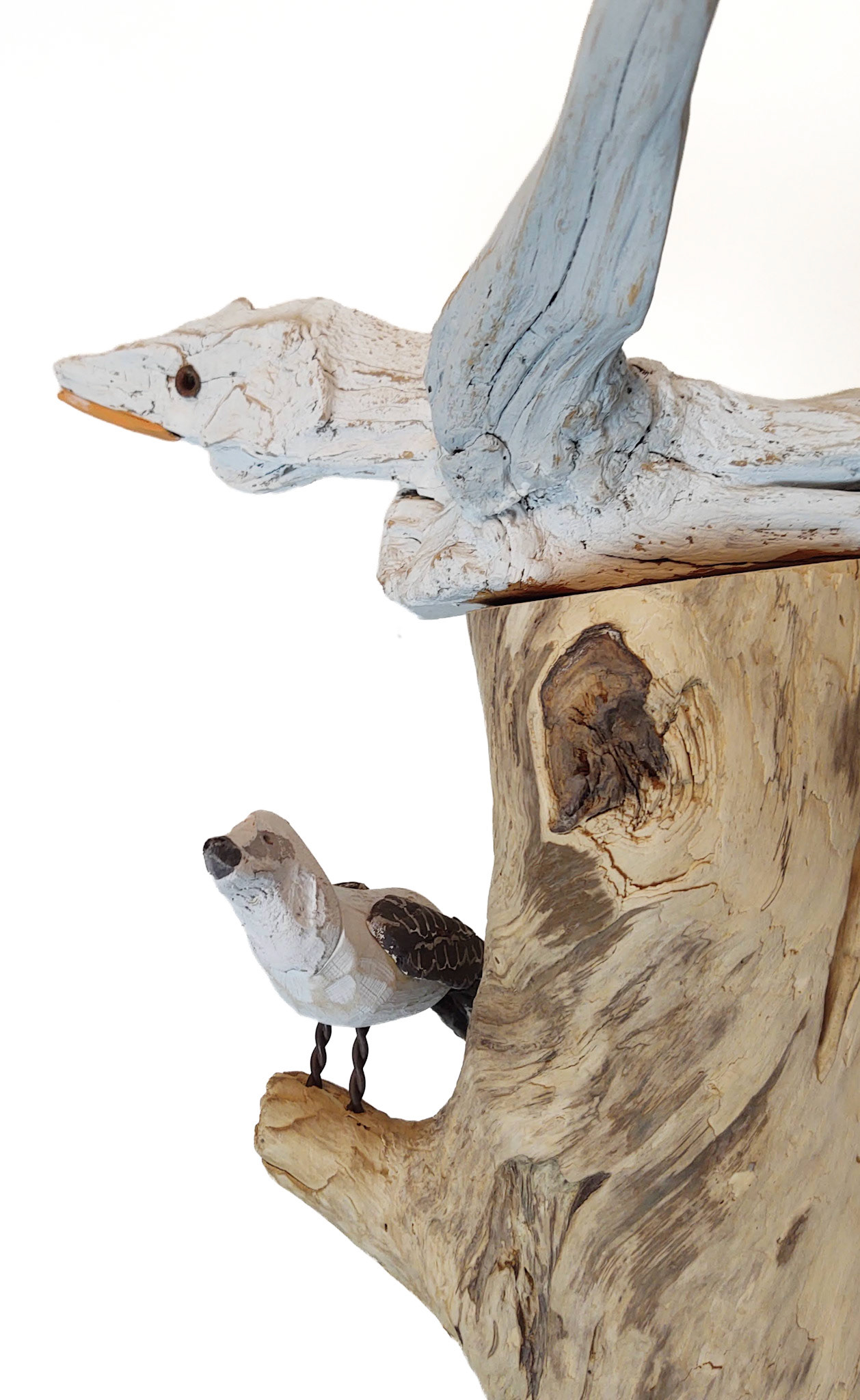 WILDLIFE (DETAIL)