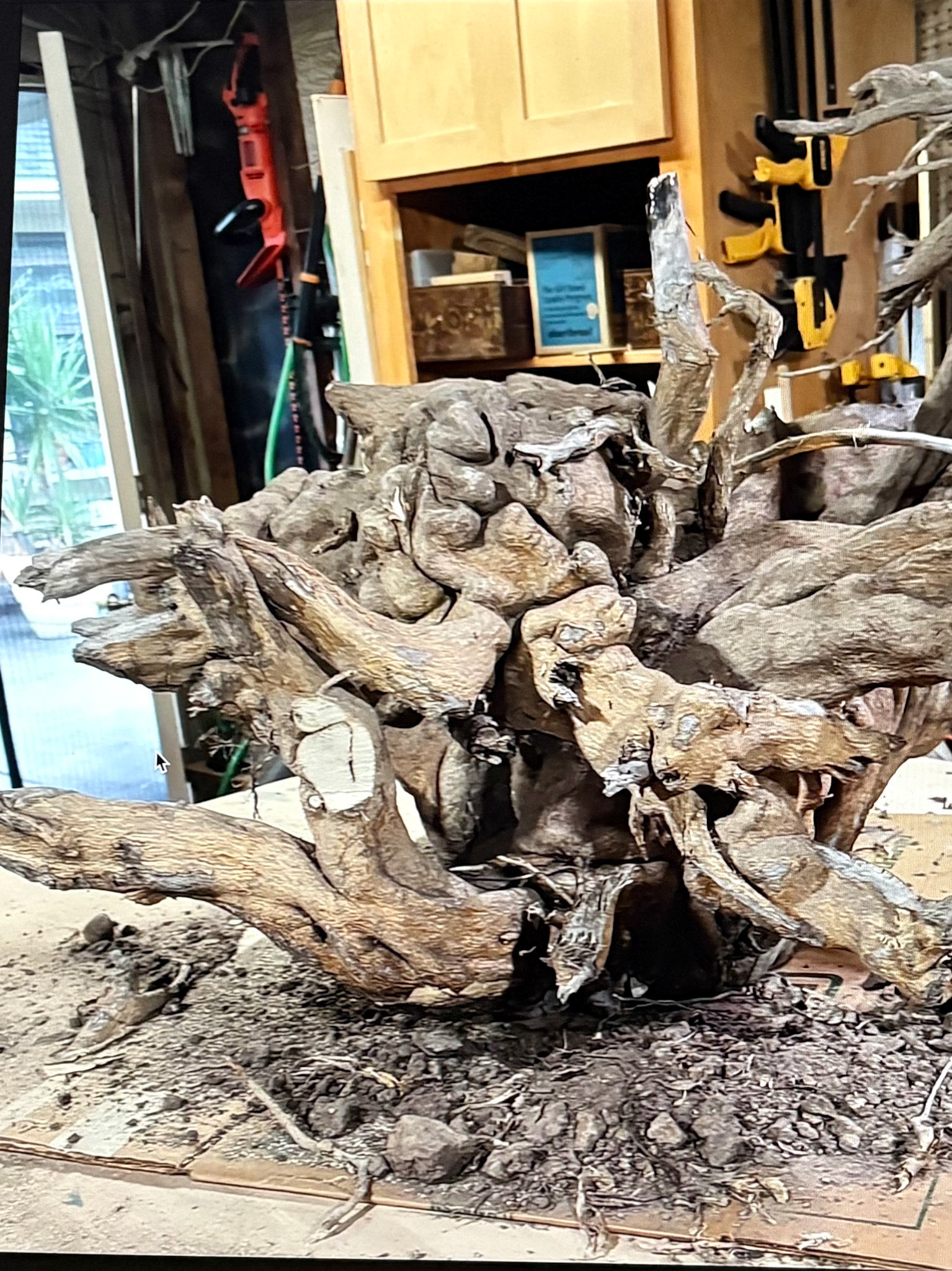STUMPING THE STUMP - STUMP