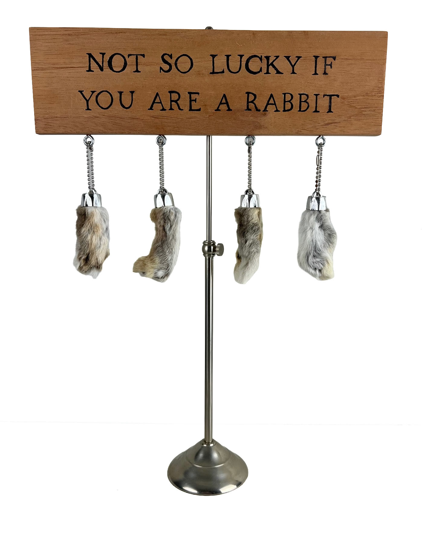 NOT SO LUCKY IF YOU’RE A RABBIT
