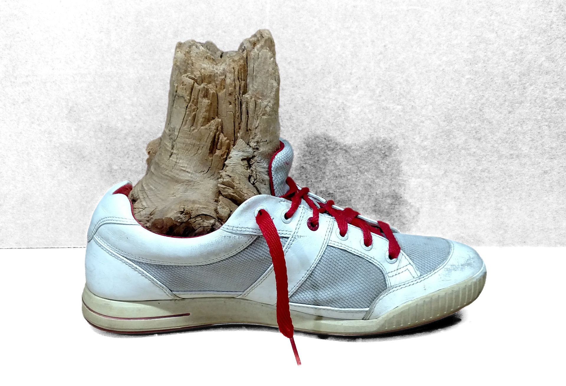 MY LEFT FOOT IN MY SNEAKER