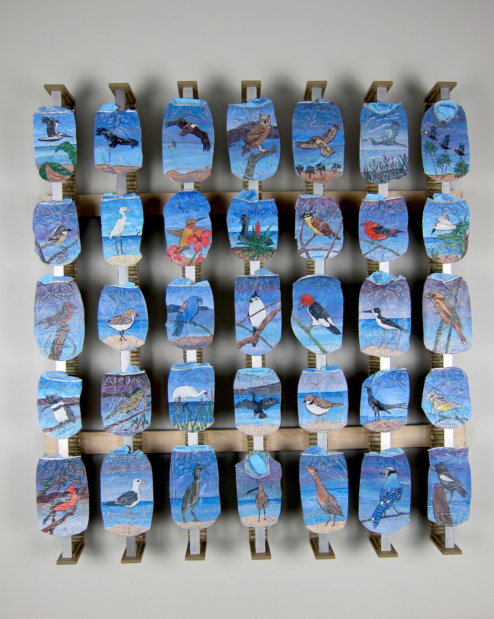 BIRDS OF THE GULF COAST