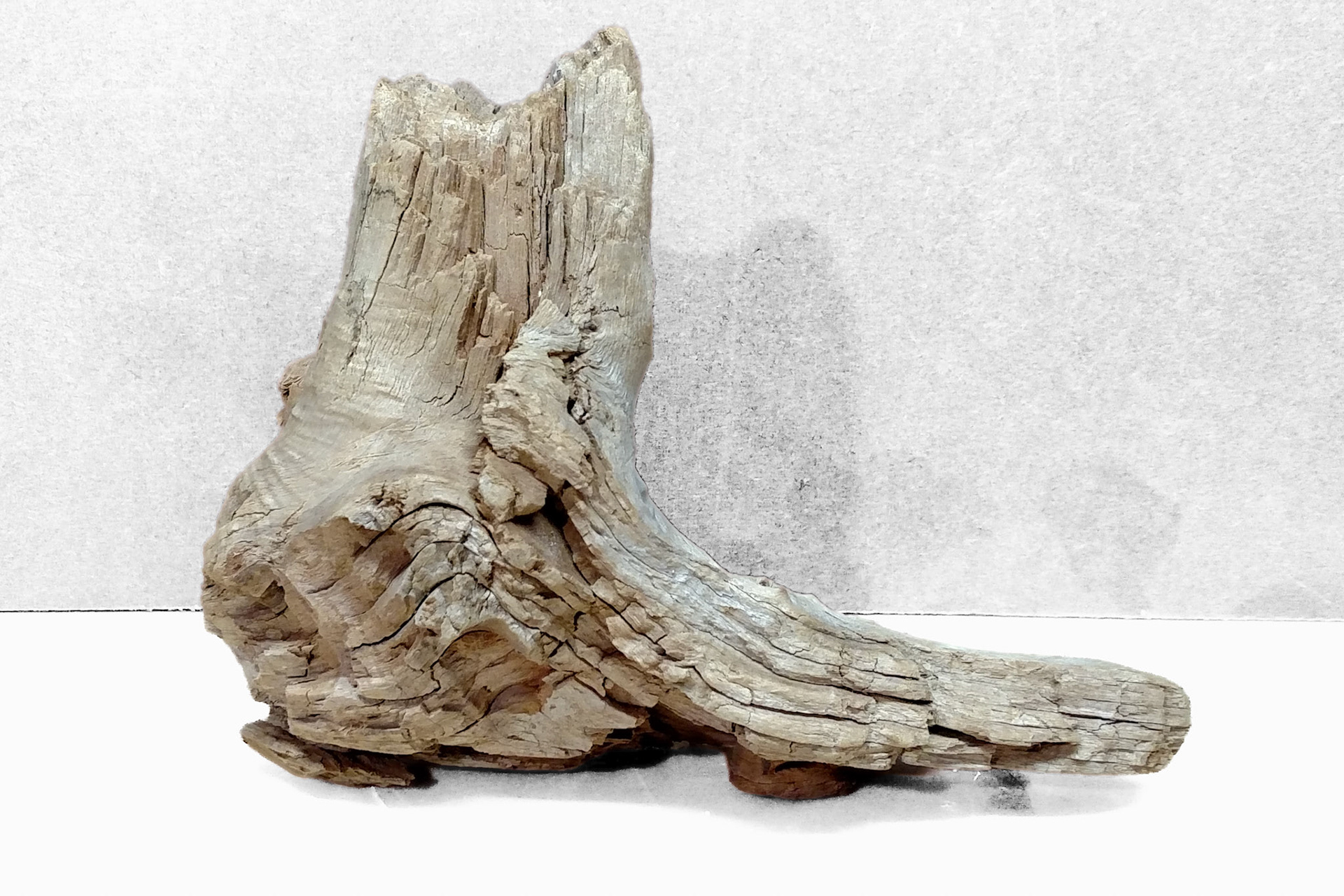 MY LEFT FOOT