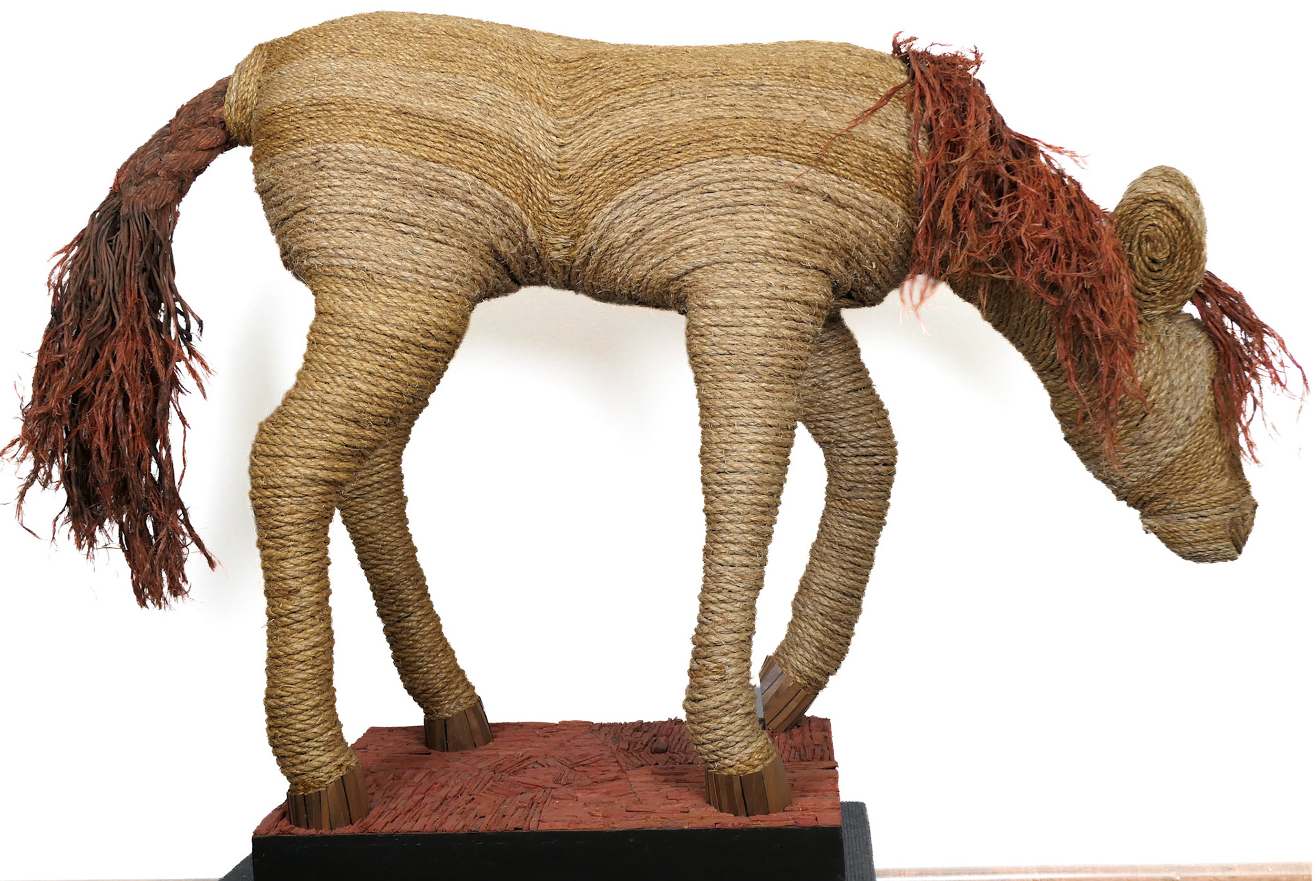 THE HORSE WITH NO NAME