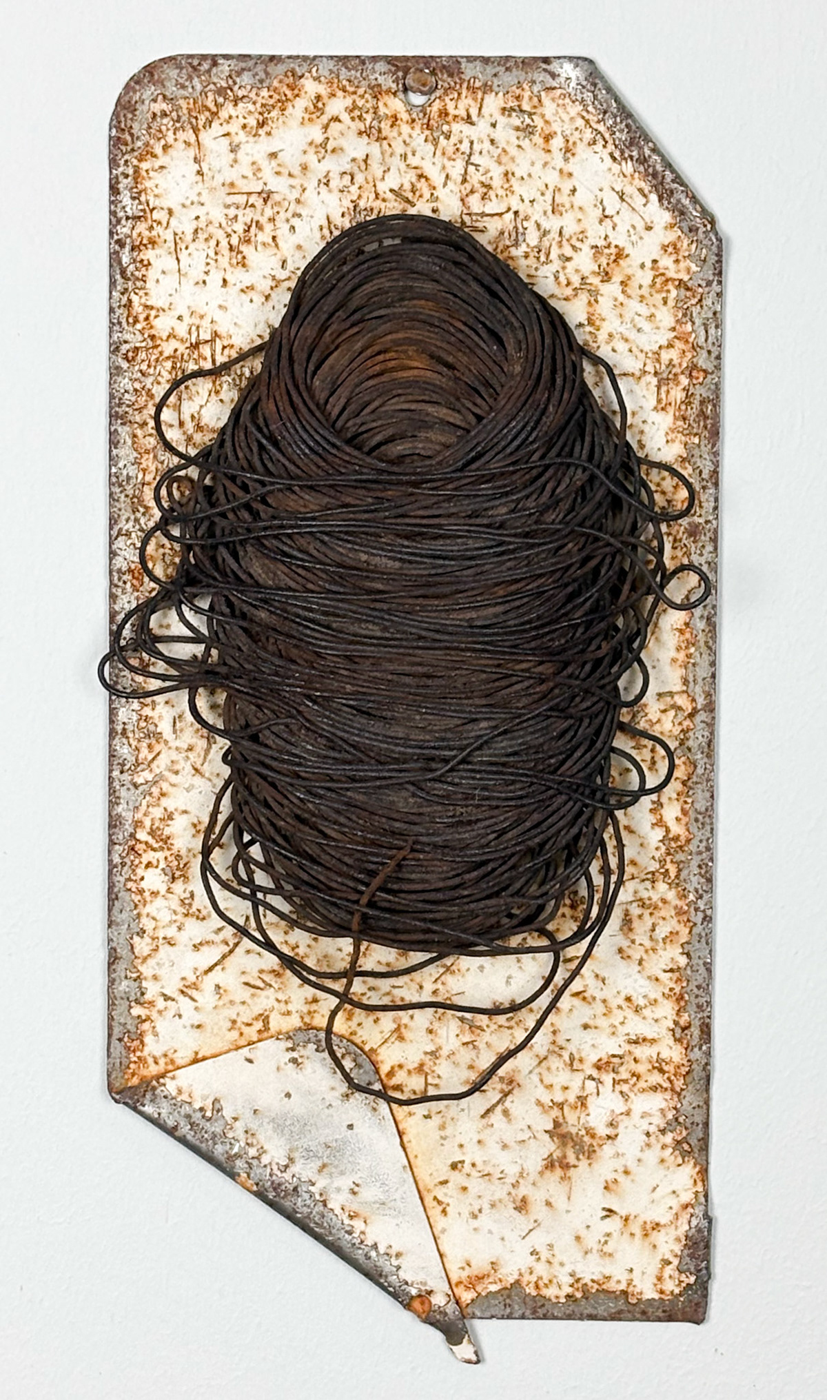 CRUSHED WIRE - ART OR ACCIDENT
