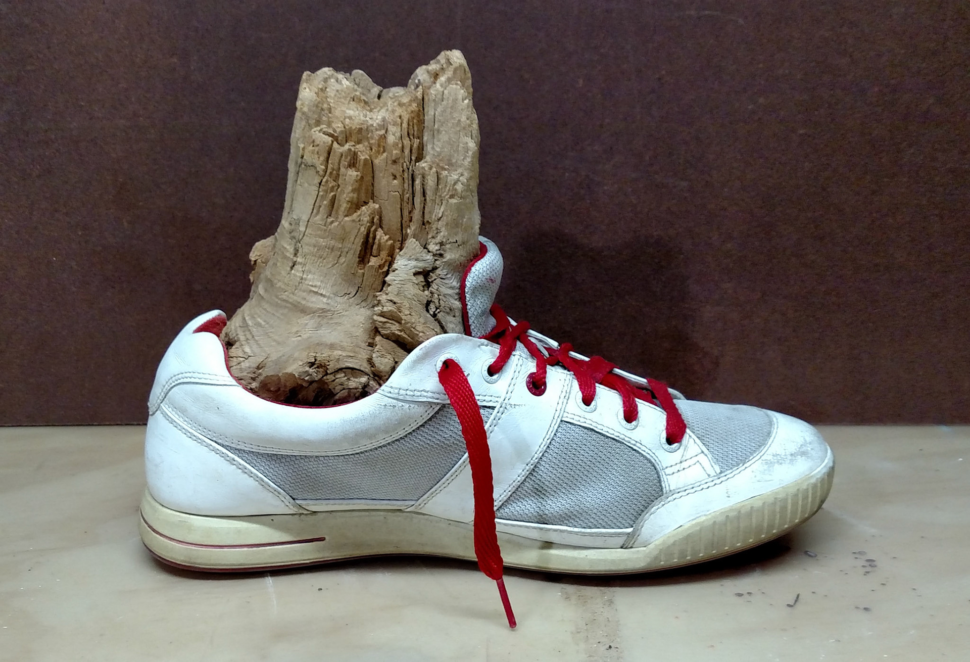 MY LEFT FOOT IN MY SNEAKER