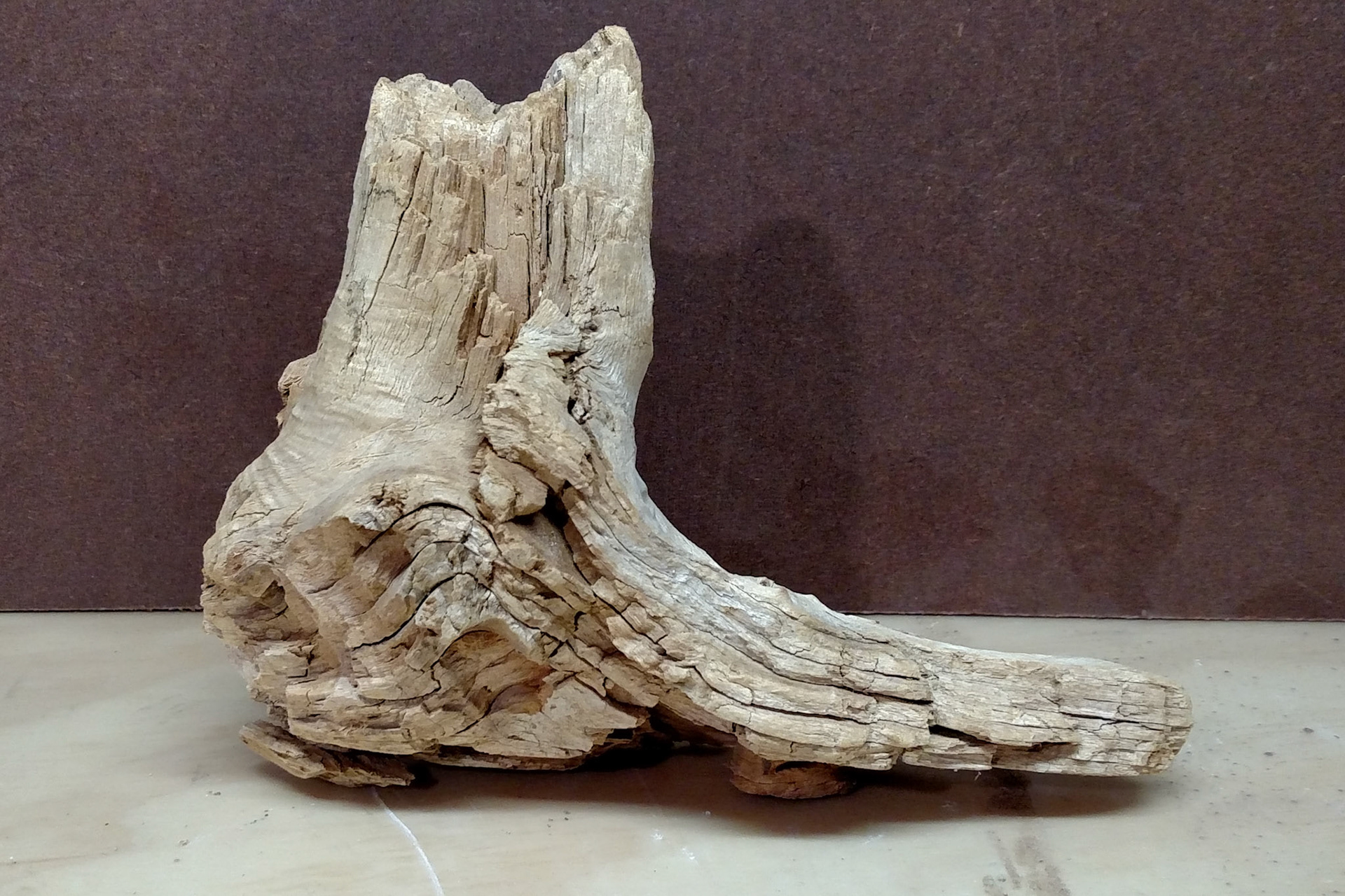 MY LEFT FOOT