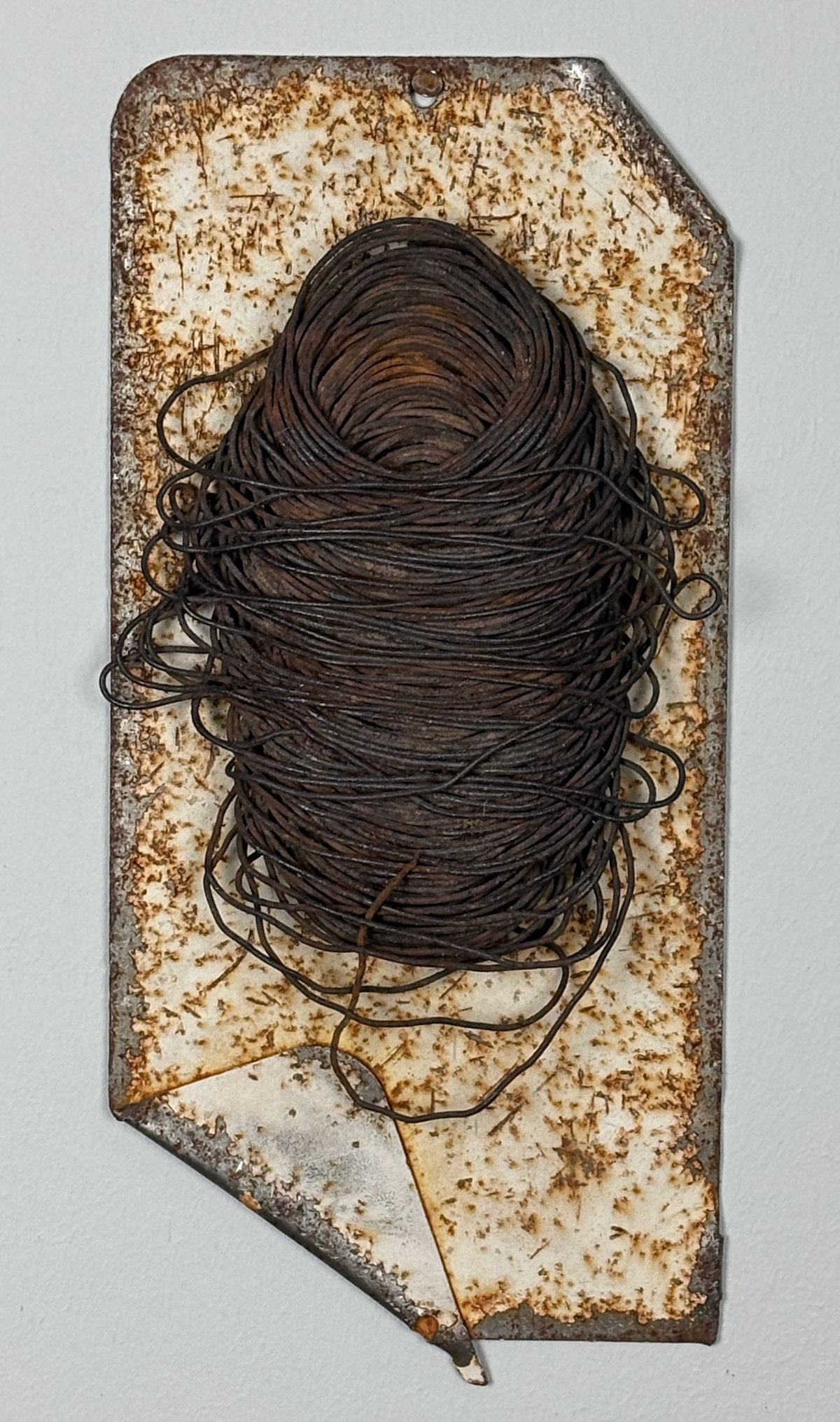 CRUSHED WIRE - ART OR ACCIDENT