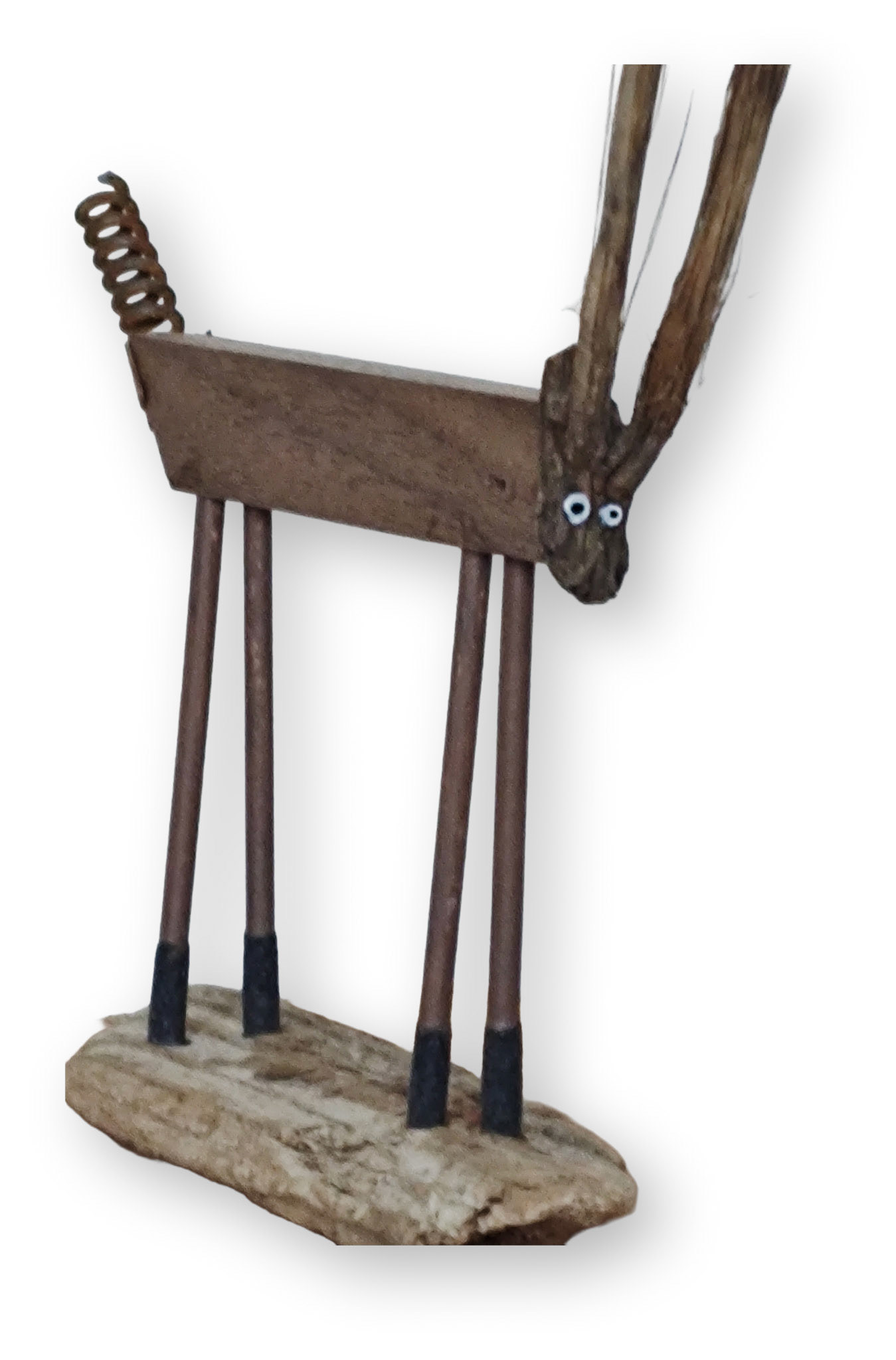 BUG WITH BIG ANTENNAE (DETAIL)
