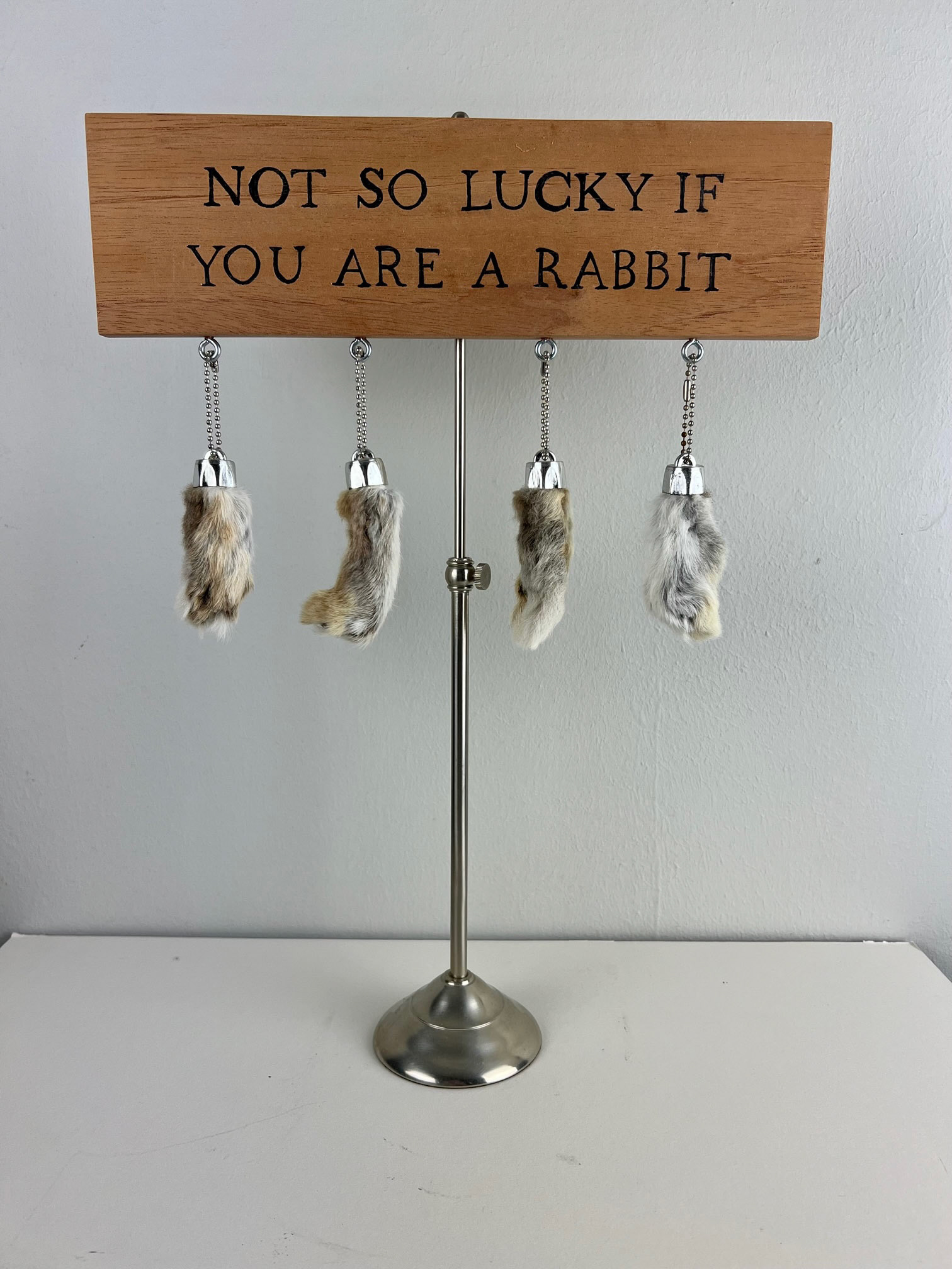 NOT SO LUCKY IF YOU’RE A RABBIT