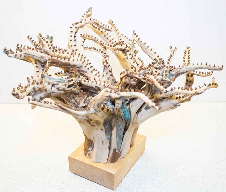 NUT TREE