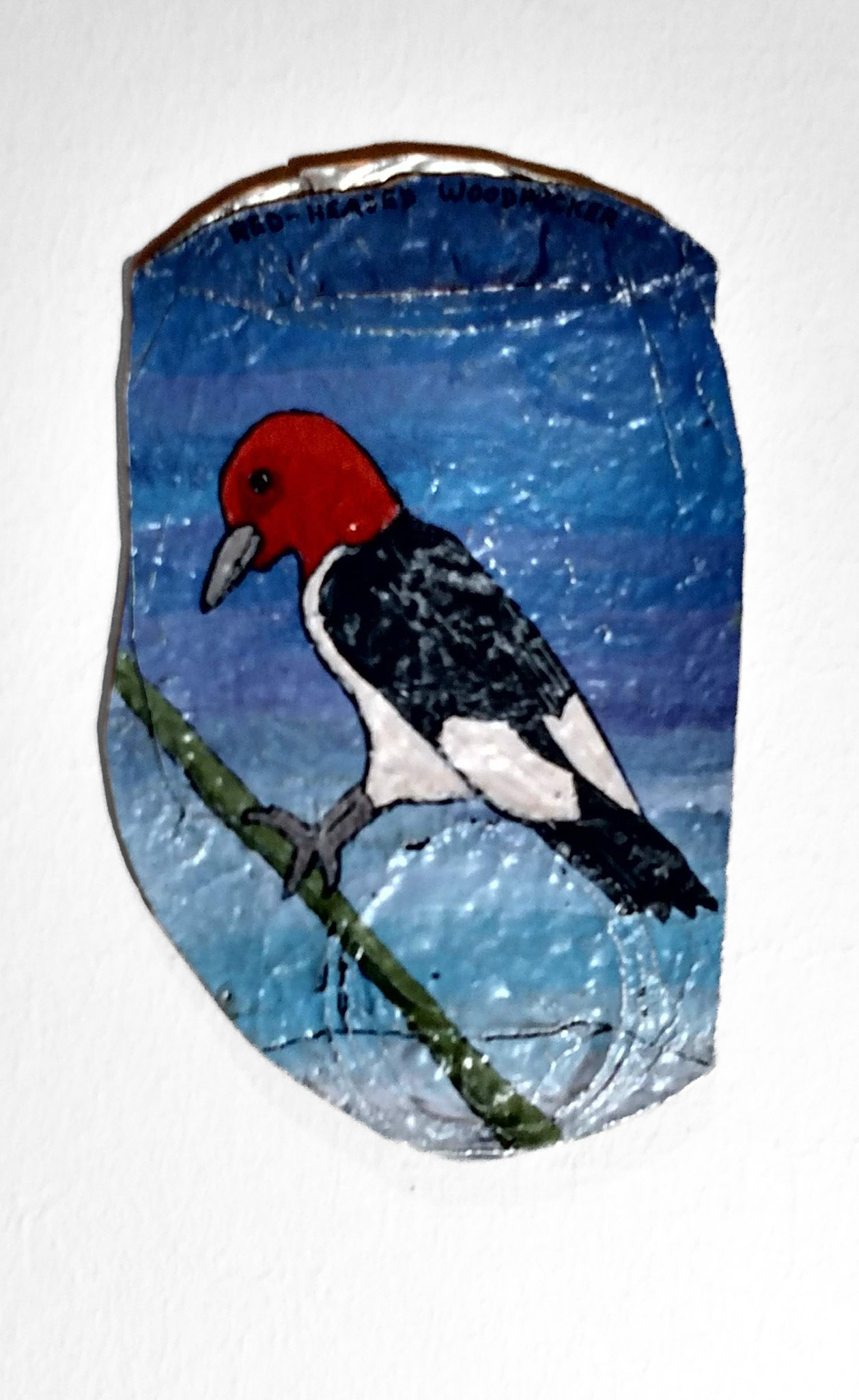 BIRDS OF THE GULF COAST (DETAIL)