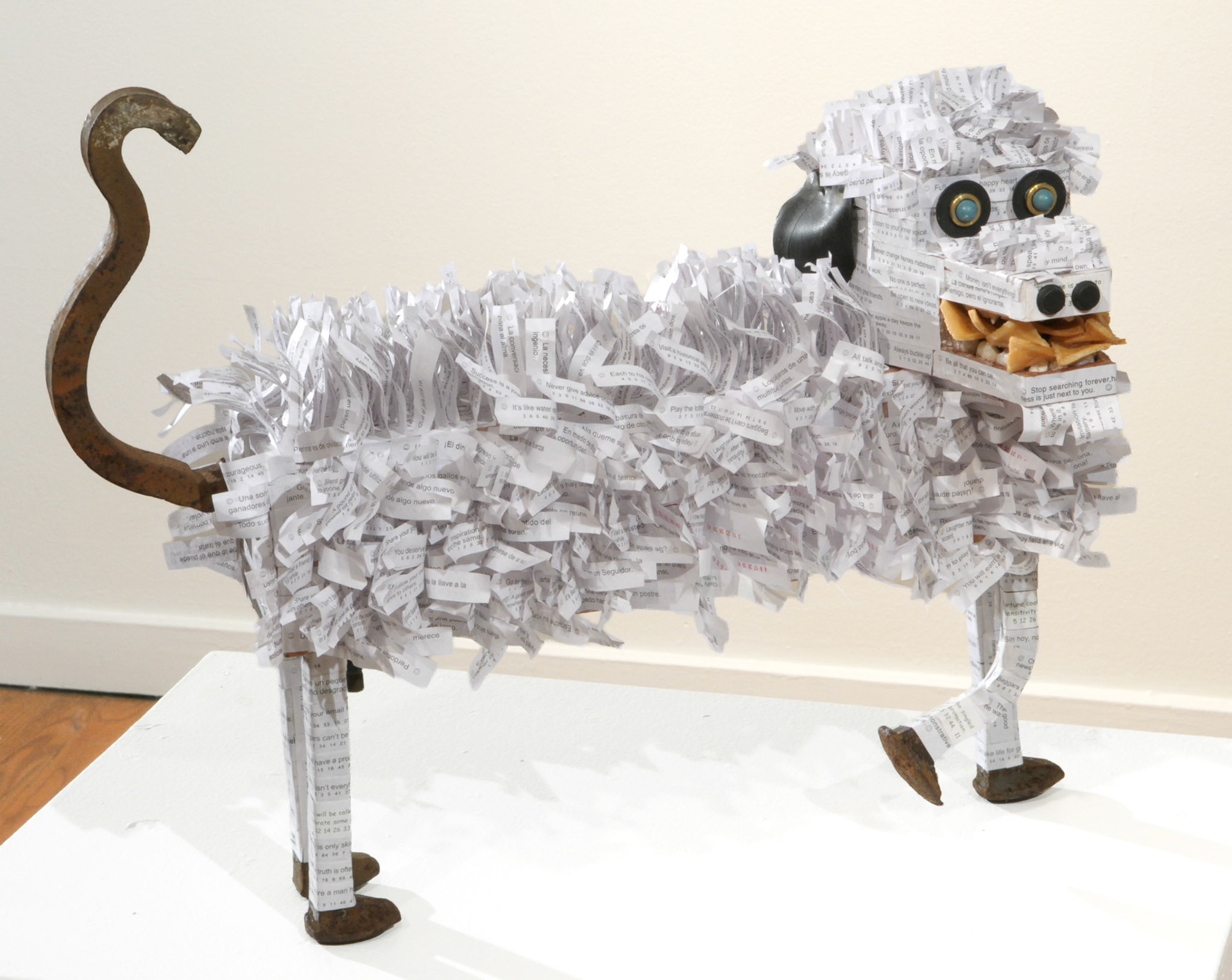 FORTUNATE DOG
