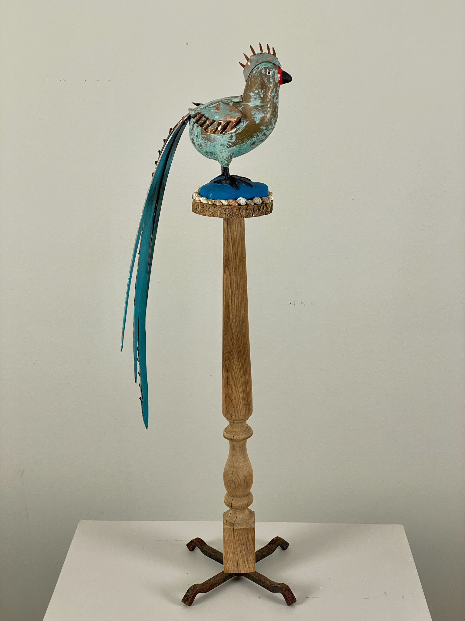 BIRD WITH LONG TAIL