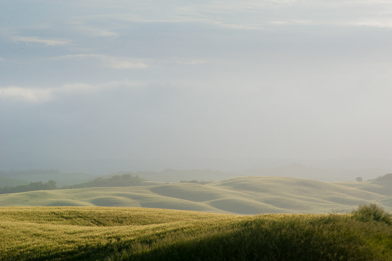 Crete senesi #1