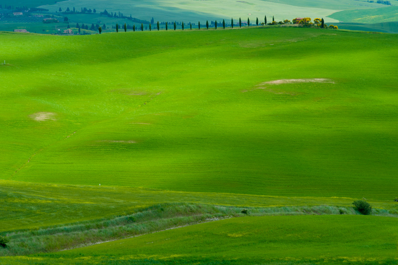 Il rigo #8