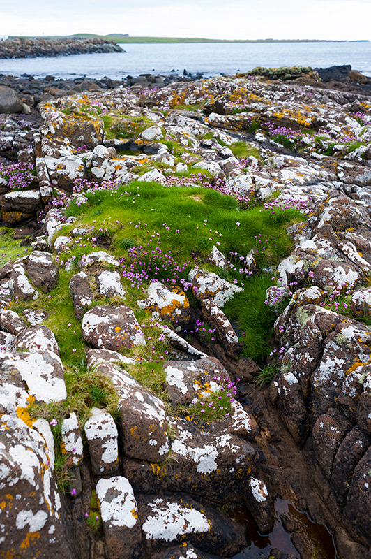 Baie de Staffin