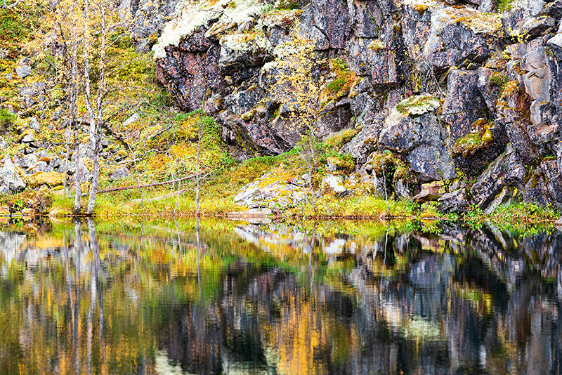 Reflet