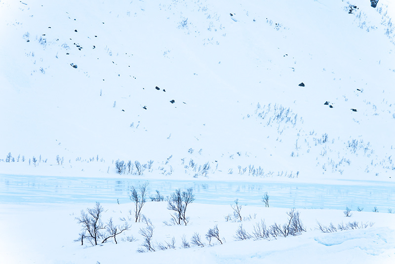 En bleu et blanc