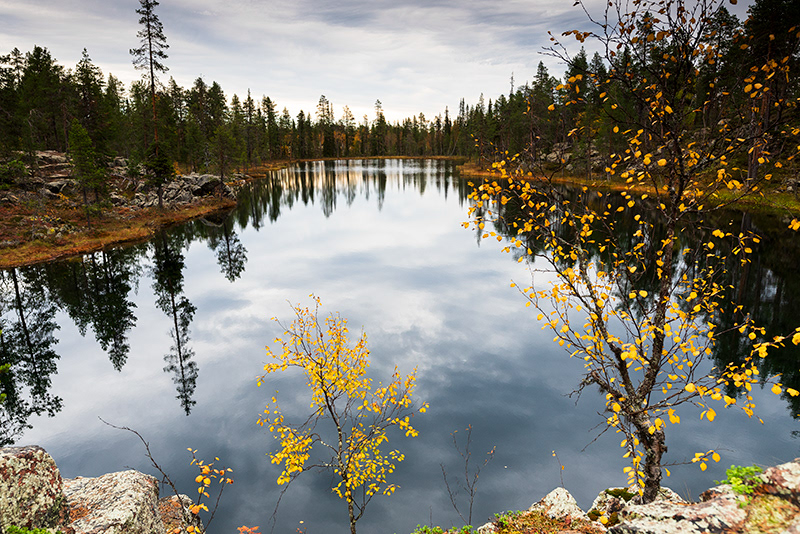 Reflet
