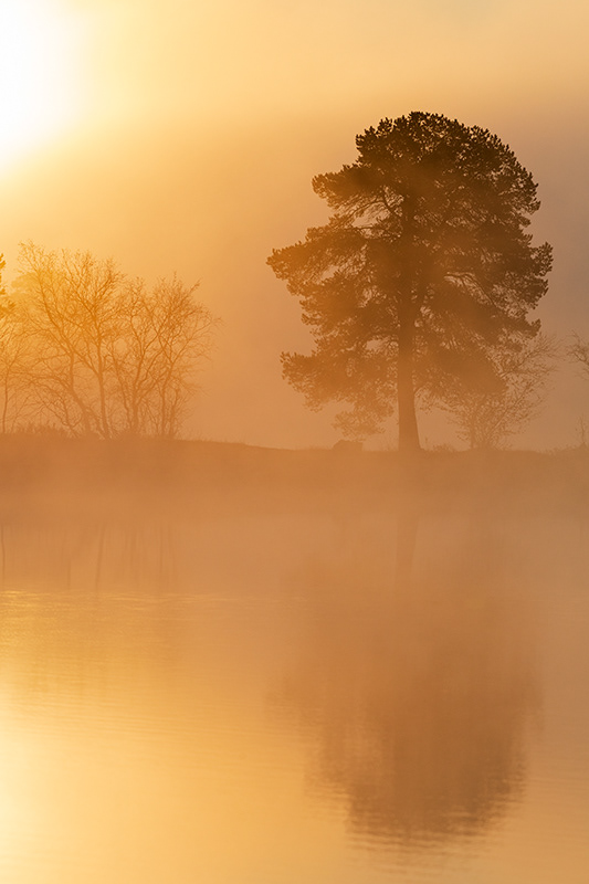 Lever sur brume