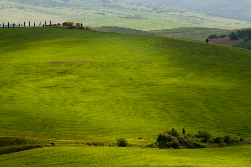 Il rigo #3
