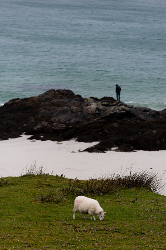 A chacun sa solitude