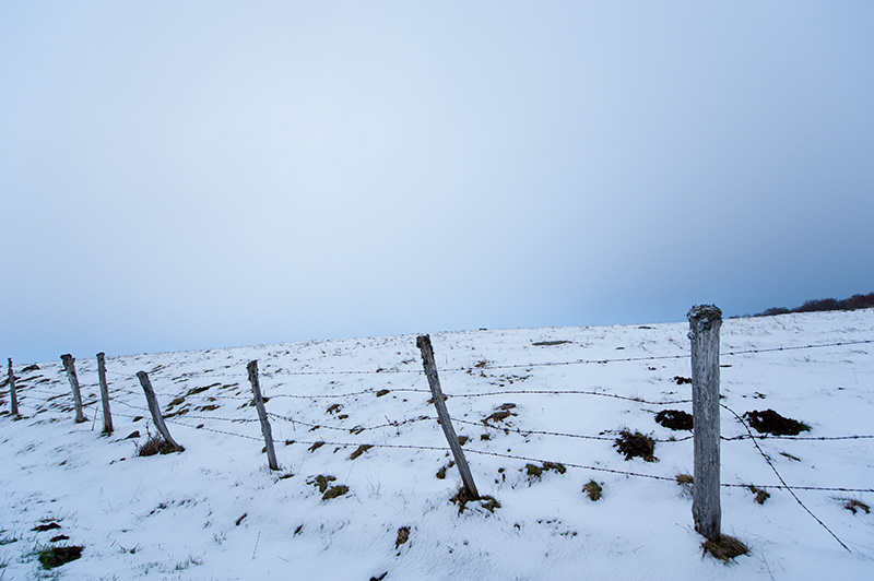 Clôture sous la neige