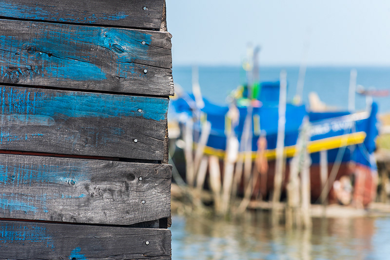 Carrasqueira