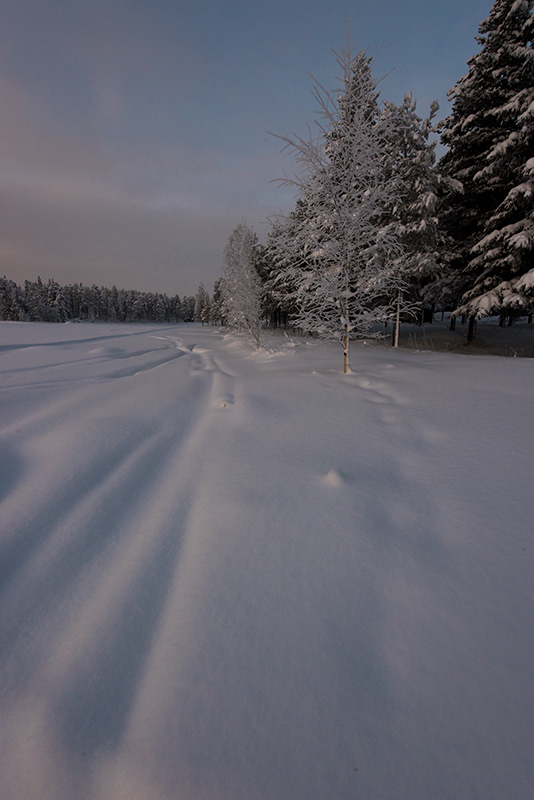 Traces
