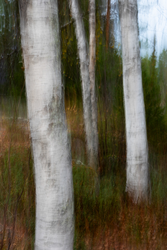 ICM #1