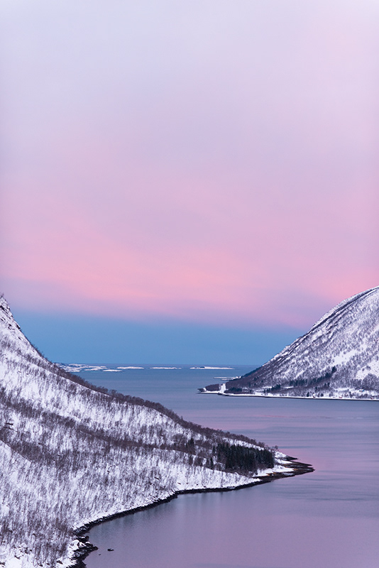Lever au Bergsfjord