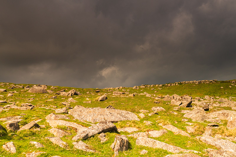 Cornwall Light