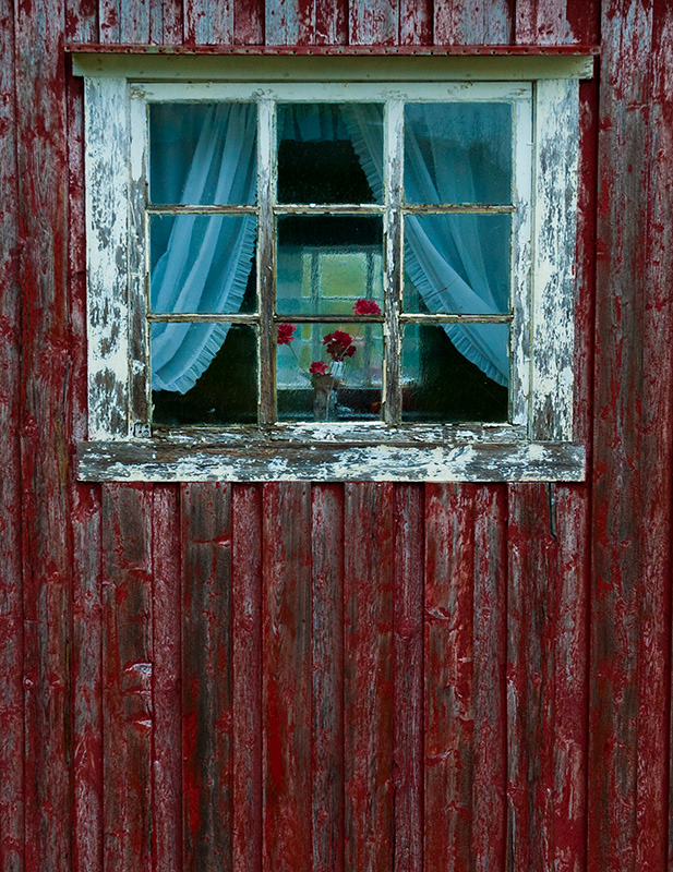 Les roses rouges